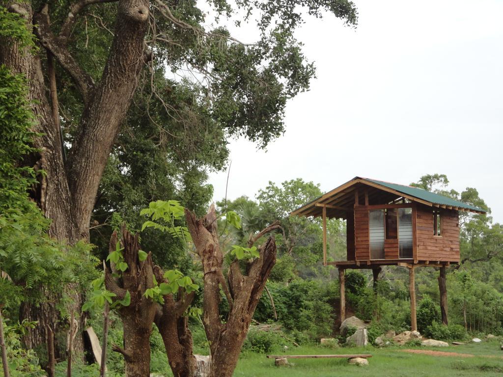 Sigiri Forest View Hotel Sigiriya Eksteriør billede