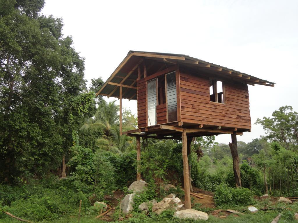 Sigiri Forest View Hotel Sigiriya Værelse billede