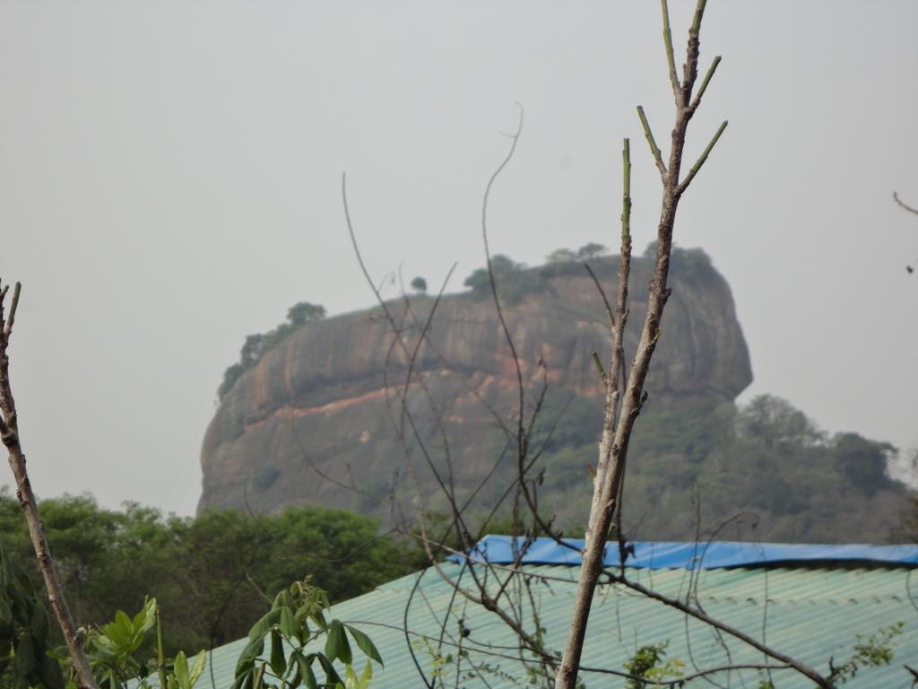 Sigiri Forest View Hotel Sigiriya Eksteriør billede