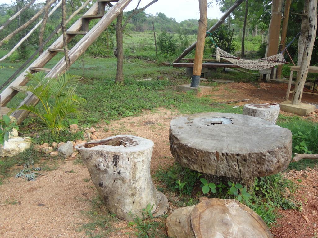 Sigiri Forest View Hotel Sigiriya Eksteriør billede