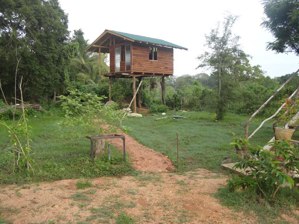 Sigiri Forest View Hotel Sigiriya Eksteriør billede