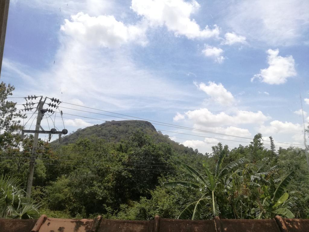 Sigiri Forest View Hotel Sigiriya Eksteriør billede