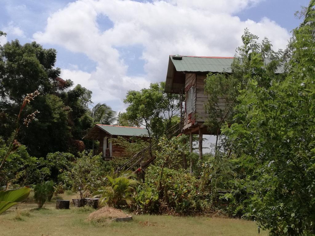 Sigiri Forest View Hotel Sigiriya Eksteriør billede